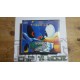 Sonic CD - MEGA CD - Complet