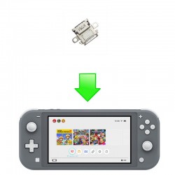 Remplacement USB-C Switch Lite